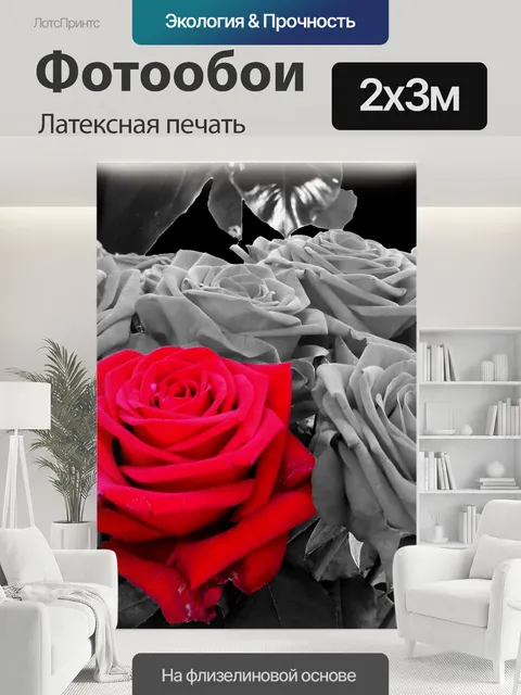200 × 300 см · Латексная печать