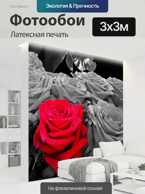 300 × 300 см · Латексная печать