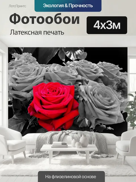 400 × 300 см · Латексная печать