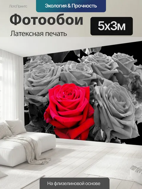 500 × 300 см · Латексная печать