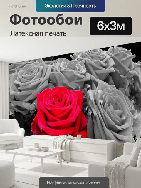 600 × 300 см · Латексная печать