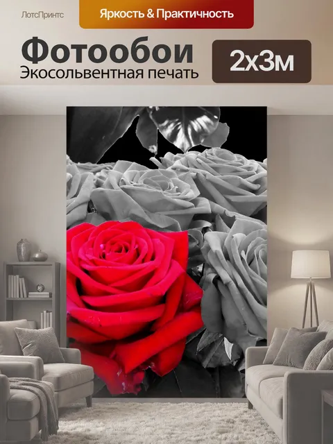 200 × 300 см · Экосольвентная печать