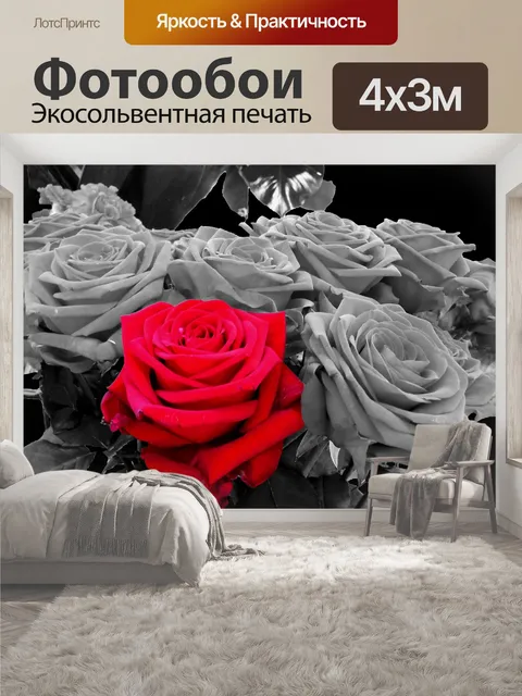 400 × 300 см · Экосольвентная печать