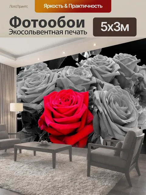 500 × 300 см · Экосольвентная печать