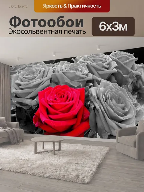 600 × 300 см · Экосольвентная печать