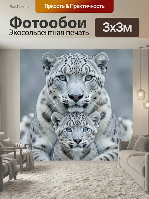 Фотообои Снежные леопарды крупным планом