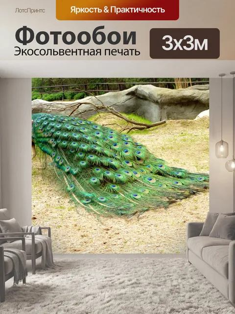 Фотообои Павлин, самец павлина, птица