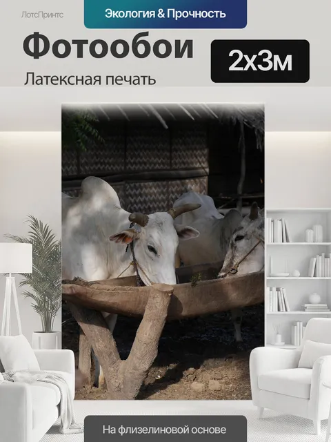 200 × 300 см · Латексная печать