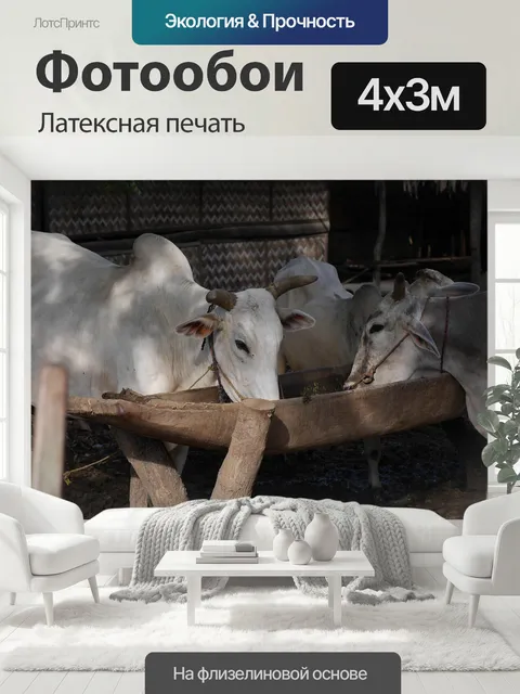 400 × 300 см · Латексная печать