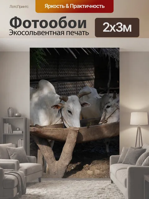 200 × 300 см · Экосольвентная печать