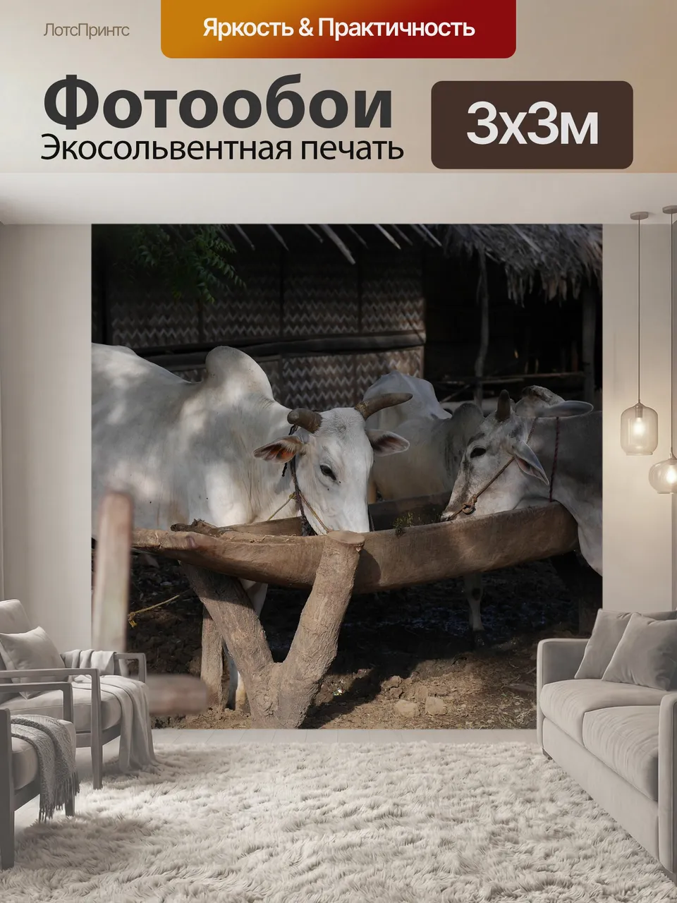 Фотообои Коровы, зелья, бирма