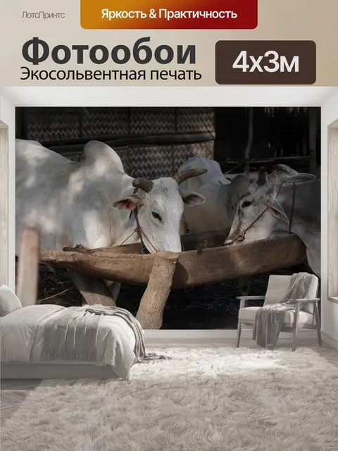 400 × 300 см · Экосольвентная печать