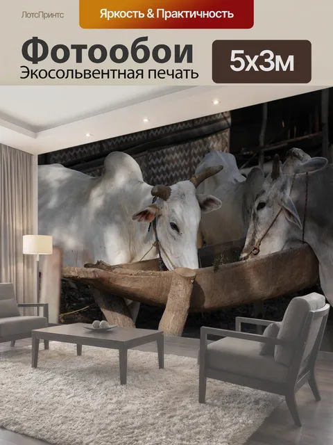 500 × 300 см · Экосольвентная печать