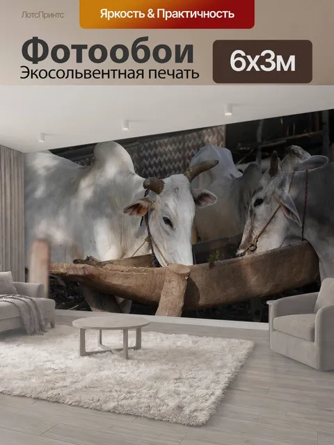 600 × 300 см · Экосольвентная печать