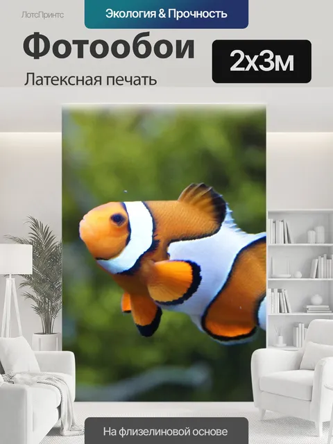 200 × 300 см · Латексная печать