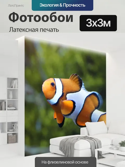 300 × 300 см · Латексная печать