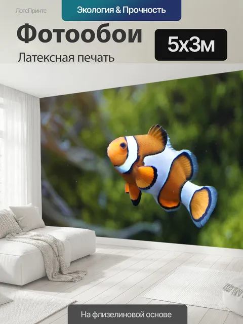 500 × 300 см · Латексная печать