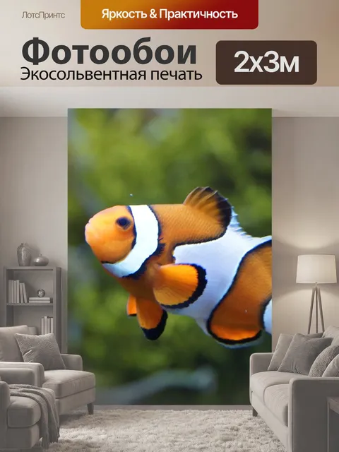 200 × 300 см · Экосольвентная печать
