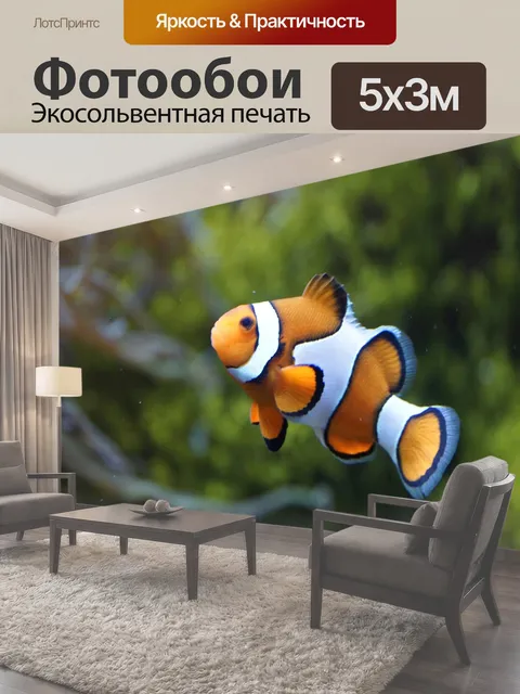 500 × 300 см · Экосольвентная печать