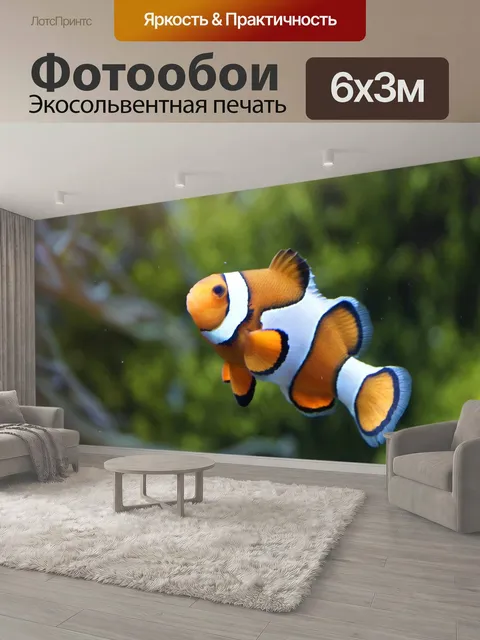 600 × 300 см · Экосольвентная печать