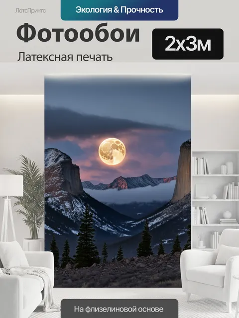 200 × 300 см · Латексная печать