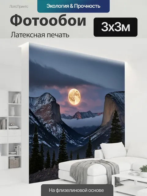 300 × 300 см · Латексная печать