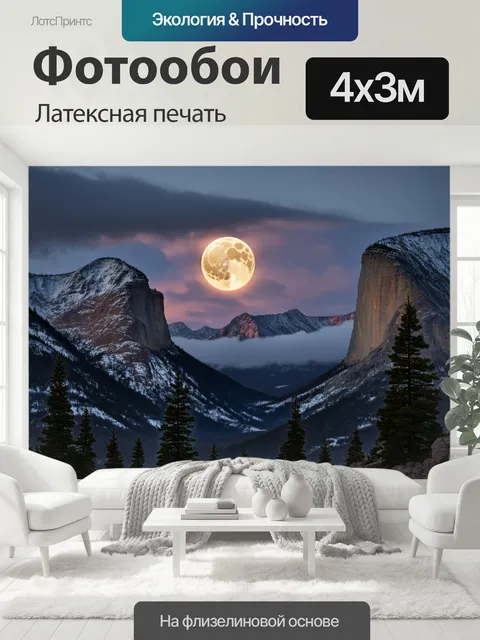 400 × 300 см · Латексная печать