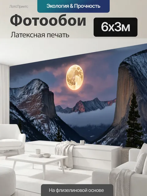 600 × 300 см · Латексная печать