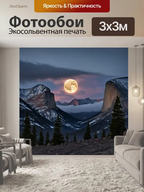 300 × 300 см · Экосольвентная печать