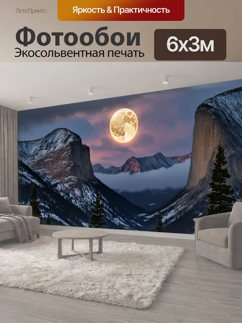 600 × 300 см · Экосольвентная печать
