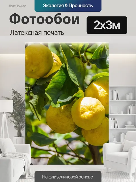 200 × 300 см · Латексная печать
