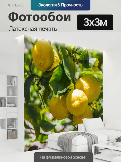 300 × 300 см · Латексная печать
