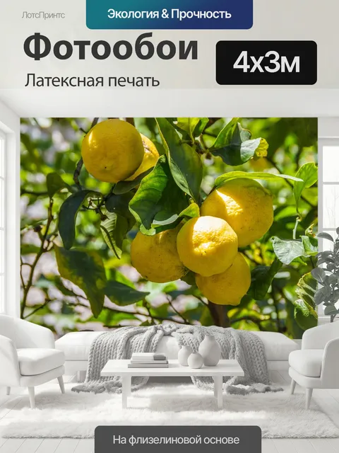 400 × 300 см · Латексная печать
