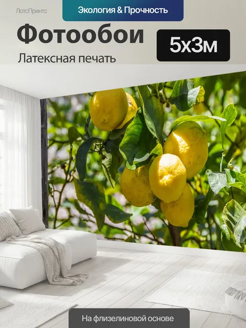 500 × 300 см · Латексная печать