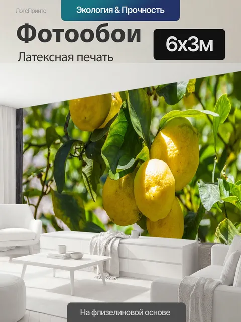 600 × 300 см · Латексная печать