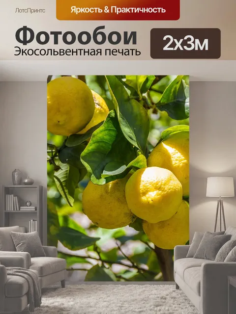 200 × 300 см · Экосольвентная печать
