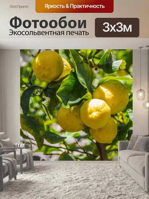Фотообои Лимоны, лимон, лимонное дерево