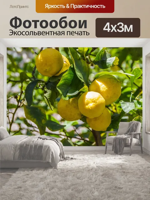 400 × 300 см · Экосольвентная печать