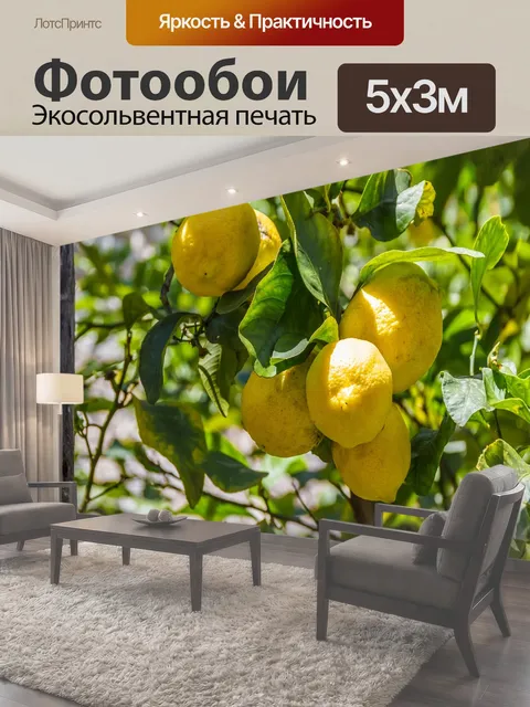 500 × 300 см · Экосольвентная печать