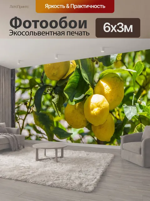600 × 300 см · Экосольвентная печать