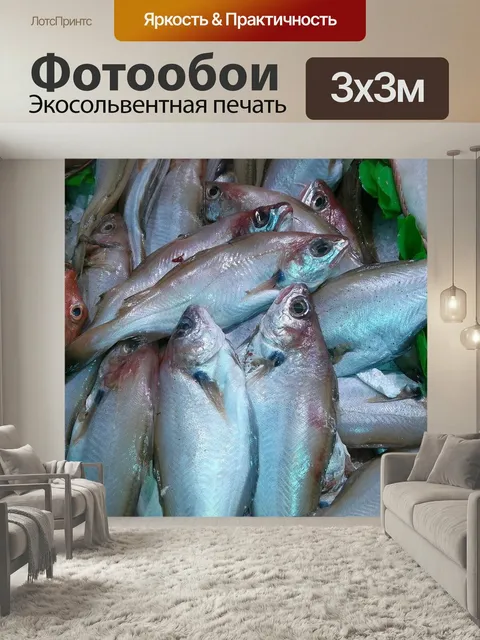 Фотообои Рыбы, море, путассу