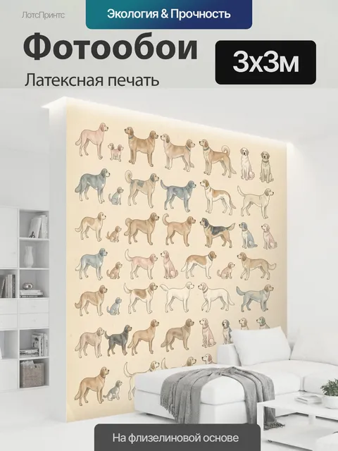 300 × 300 см · Латексная печать
