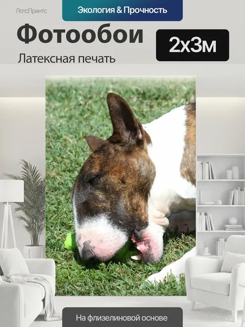 200 × 300 см · Латексная печать