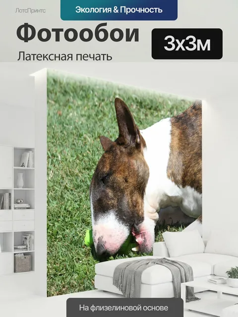 300 × 300 см · Латексная печать