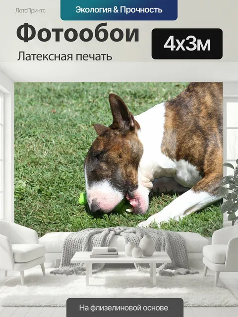 400 × 300 см · Латексная печать