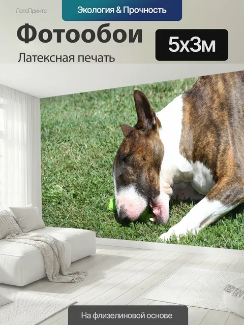 500 × 300 см · Латексная печать