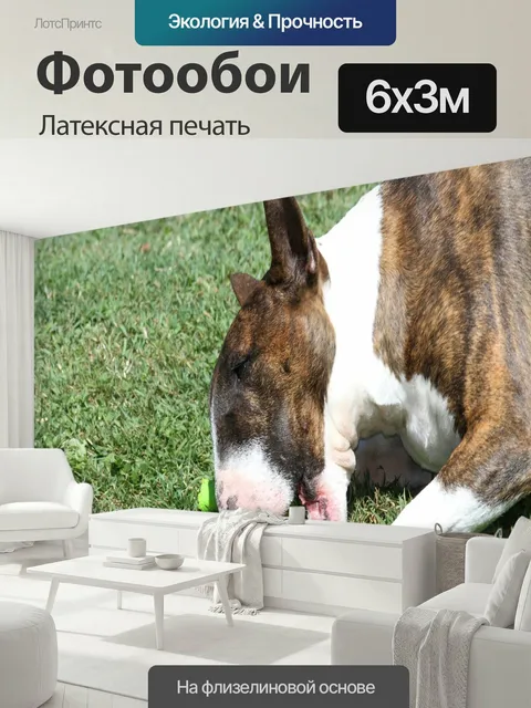 600 × 300 см · Латексная печать