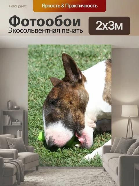 200 × 300 см · Экосольвентная печать