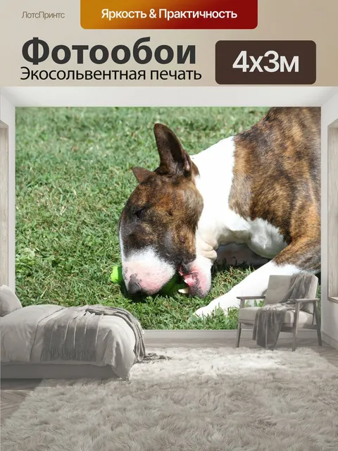 400 × 300 см · Экосольвентная печать