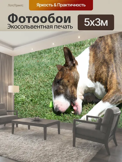 500 × 300 см · Экосольвентная печать